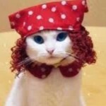 Cat Women'S
