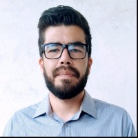 Fulvio Araujo Silva