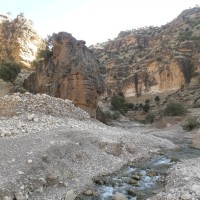 مهران علی پور