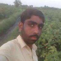 Ali Ahmed Shanbani