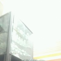 Mirabella Louella Vaz