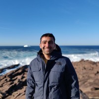 Pedram Ghasemigoudarzi