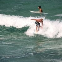 Peter Swanson