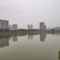 Tingsguang Zhao