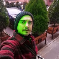 Ehsan Hasheminia