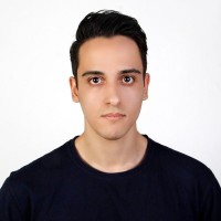 Ali Zibaie