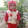Adnan Kharl