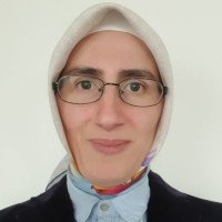 Nesrin Degirmenci