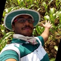 Praveen babu Chennamsetti