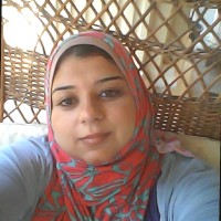 Shaimaa Hanafy