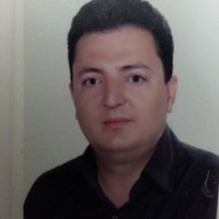 amir rasouli