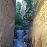 Colton Dimeck