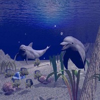 aquarium info