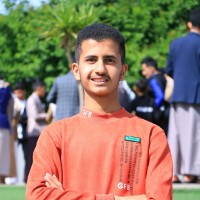 حسام العولقي