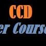 Computer Courses Dubai