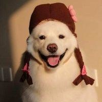 刘智伟