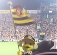 hiromi h.