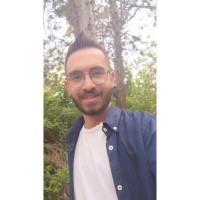 Farzad Kari