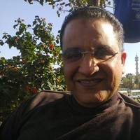 Ibraheem Elsamaloty