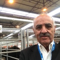 OUASSINI BOUARFA
