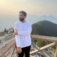 Raza Malik