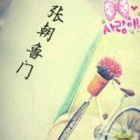 张朝鲁门