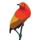 Bowerbird Renovations