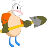 Scott Cocks