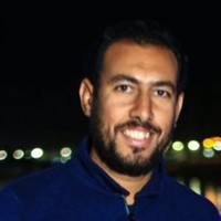 Mohamed Rashwan