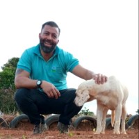 Jarbas Francisco da Silva Francisco da silva
