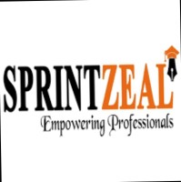 Vijaykumar Sprintzeal