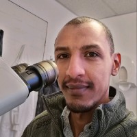 Mohamed Elhassan