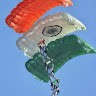 Sumit Dewanjee