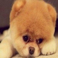 林朝松