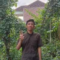 Dhafin Almas Nusantara