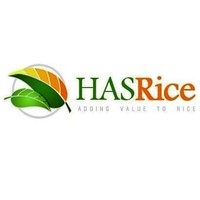 Social Media Executive