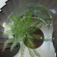 Marcos Augusto Acevedo Ordorica