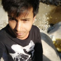 Vish Negi