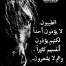 Tarig Alnoor