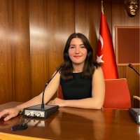 Bengisu SEZGİN