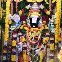 Ari Krishnan