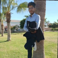 Mourad Ben ayed