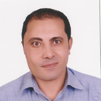 Amir Mousa