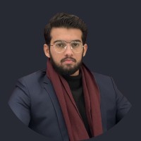 Muhammad Hamza Abid