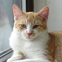 Reddington Schumacher