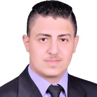 Wael Samir