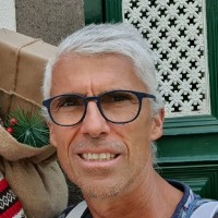 José Carlos Freitas