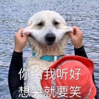张书记
