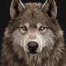 Wolf Lover