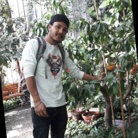 Binod Deshar